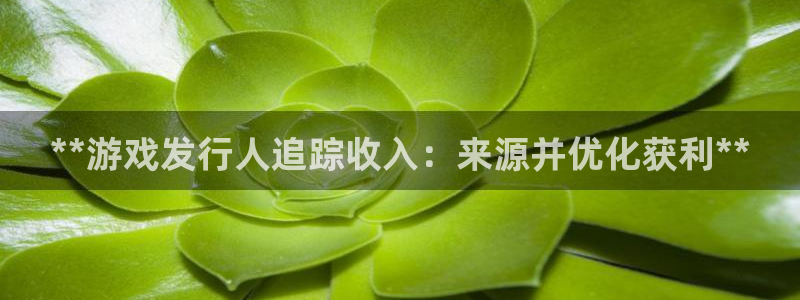 浙江天辰测控科技有限公司：**游戏发行人追踪收入：来源并优化获利**