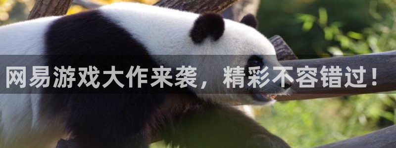 天辰娱乐代理注册平台登录系统异常：网易游戏大作来袭，精彩不容错过！