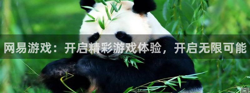 天辰平台墙44262：网易游戏：开启精彩游戏体验，开启无限可能