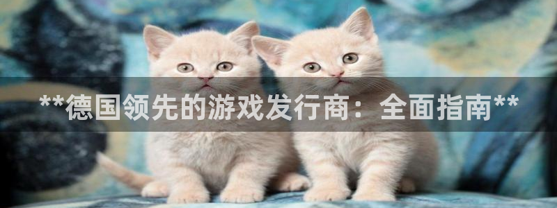 天辰平台会员：**德国领先的游戏发行商：全面指南**