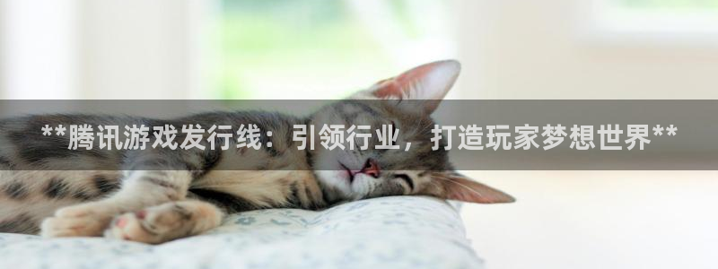 天辰测绘有限公司怎么样：**腾讯游戏发行线：引领行业，打造玩家梦想世界**