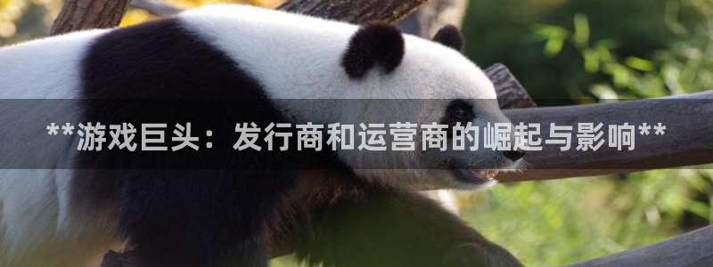 天辰注册链接怎么弄：**游戏巨头：发行商和运营商的崛起与影响**