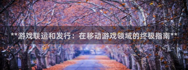 天辰平台会员多少钱一个
