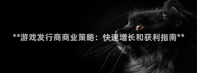 天辰平台网址是什么：**游戏发行商商业策略：快速增长和获利指南**