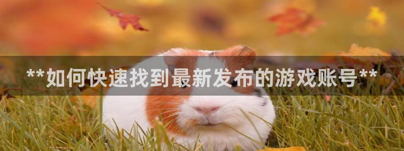 天辰平台测速登录失败怎么办：**如何快速找到最新发布的游戏账号**