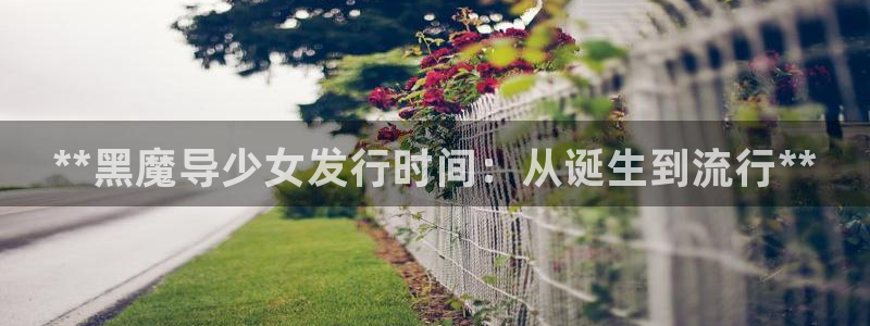天辰平台注册登录地址在哪里看：**黑魔导少女发行时间：从诞生到流行**
