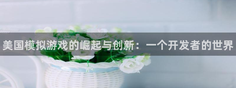 天辰平台却7O777：美国模拟游戏的崛起与创新：一个开发者的世界